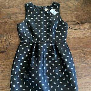 J crew women’s dress